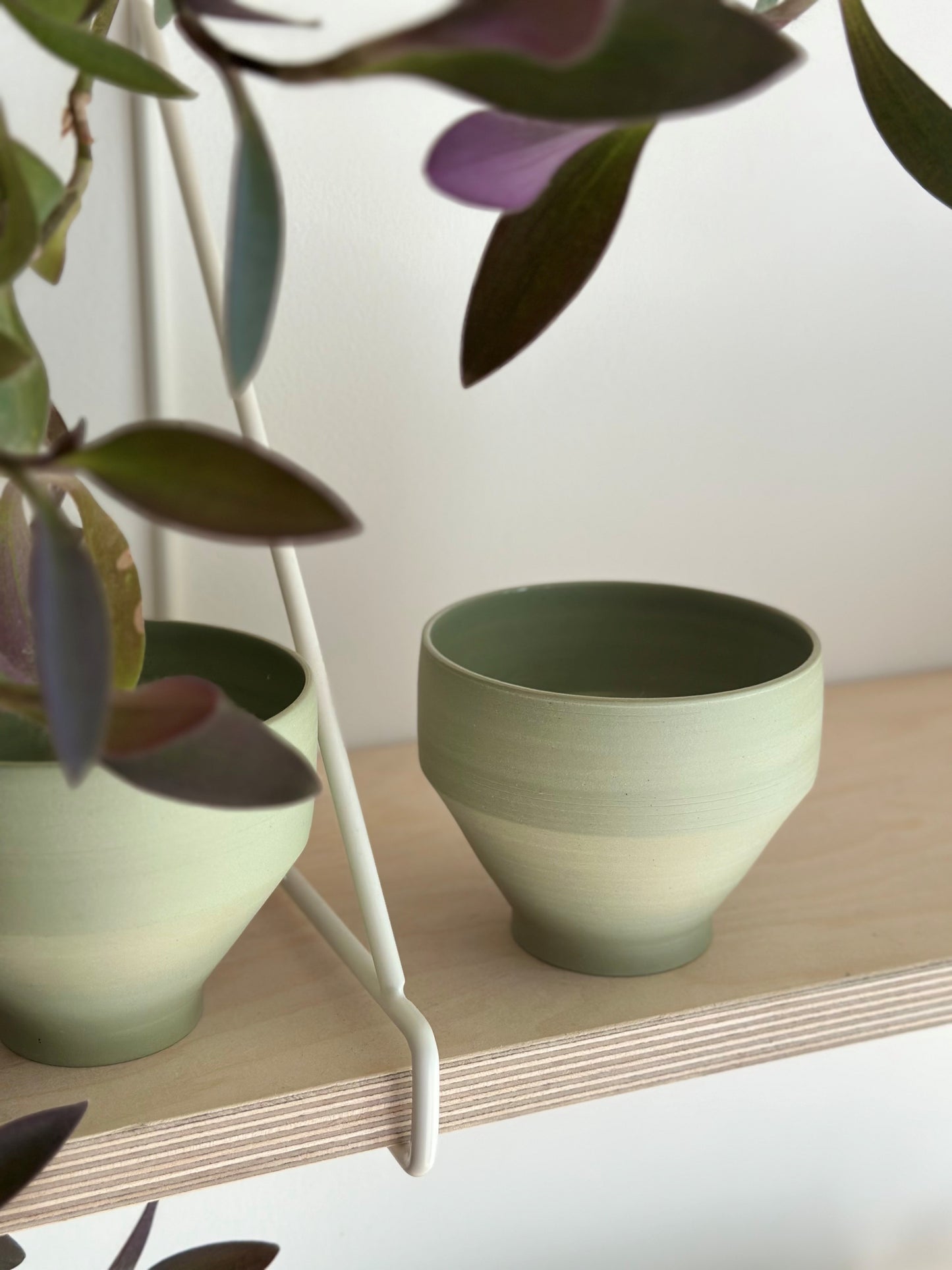 CUP PISTACCHIO